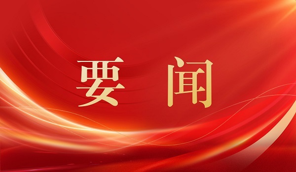 公司党委党的建设工作领导小组会议召开